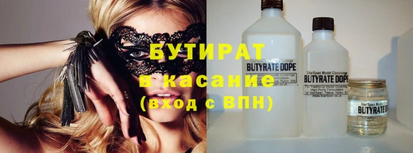прущие грибы Беломорск