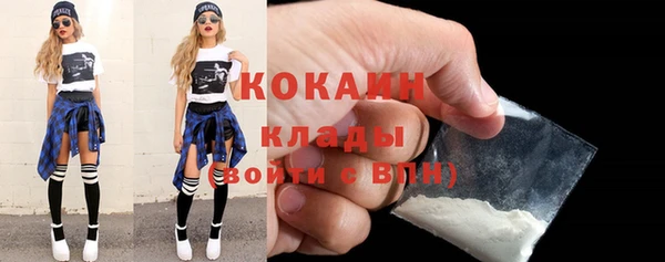 прущие грибы Беломорск