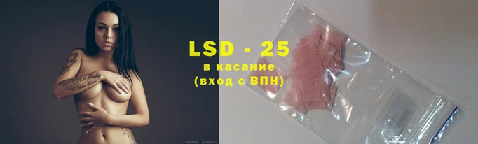 прущие грибы Беломорск
