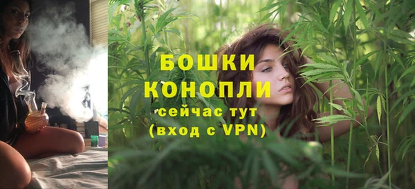 прущие грибы Беломорск