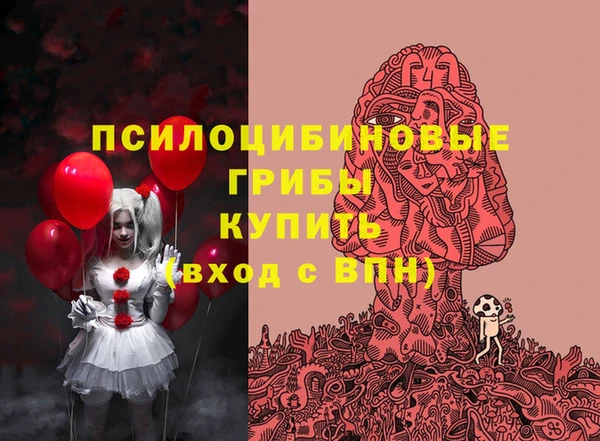 твердый Белокуриха