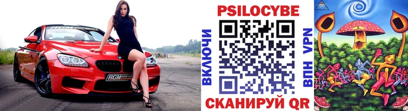 Галлюциногенные грибы Psilocybe  Чудово 