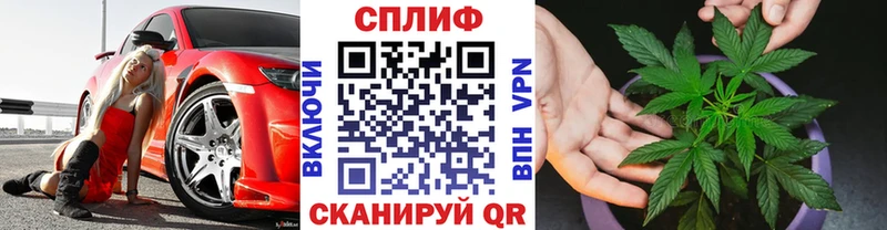 хочу наркоту блэк спрут ссылка Шишки марихуана Amnesia Чудово